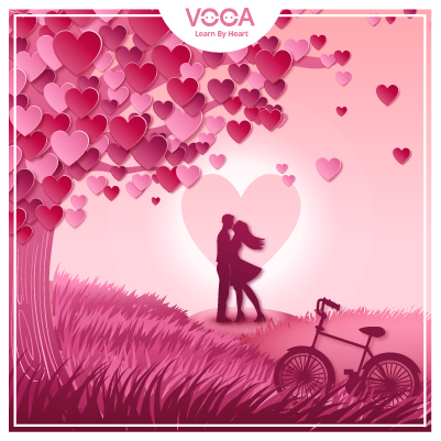 Film and book genres